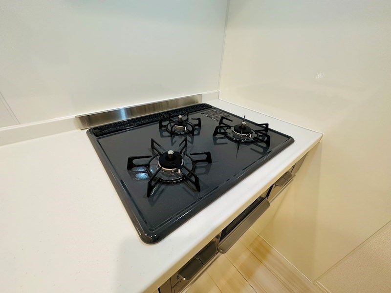 セレスティア大谷田 その他18