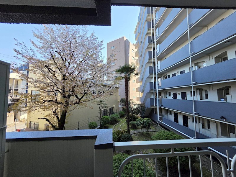 関屋ステーションハイツ その他6