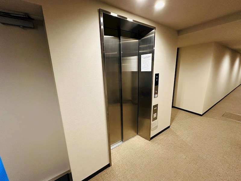 ホーリーホック その他外観5