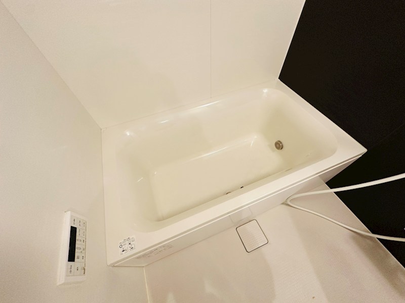 ホーリーホック その他17