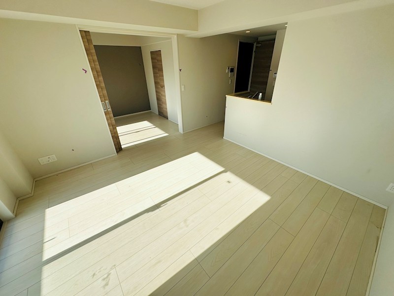 ホーリーホック その他26