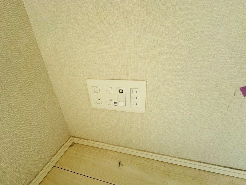 ホーリーホック その他33