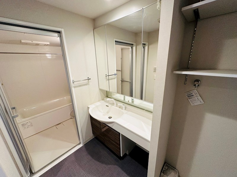 ホーリーホック その他2