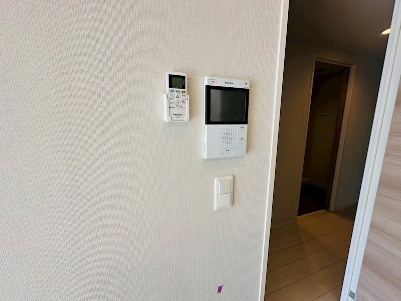 ホーリーホック その他4