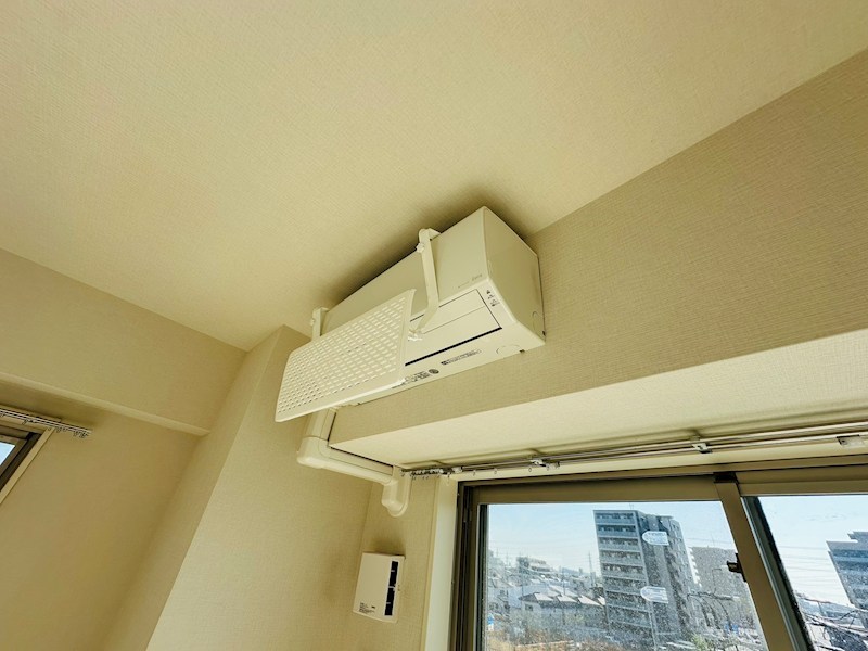 ホーリーホック その他5