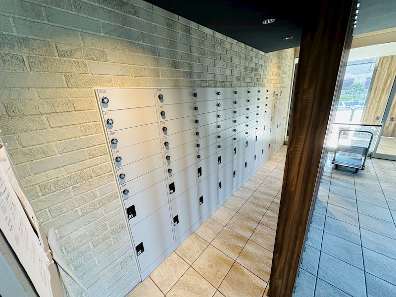 ホーリーホック その他外観6