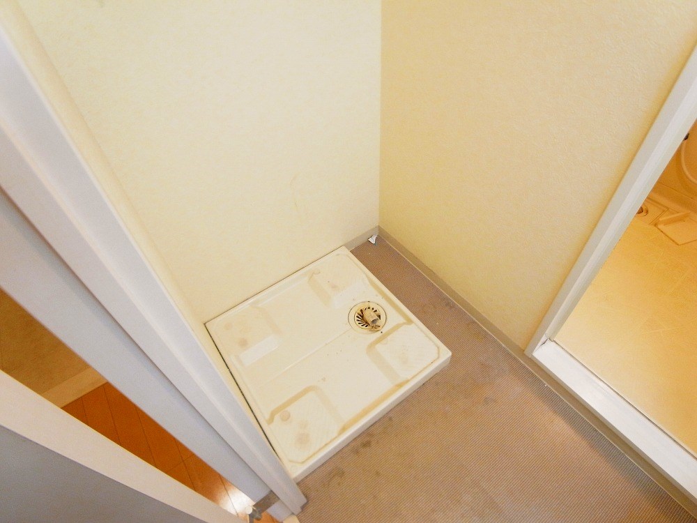 ウィステリアート その他10