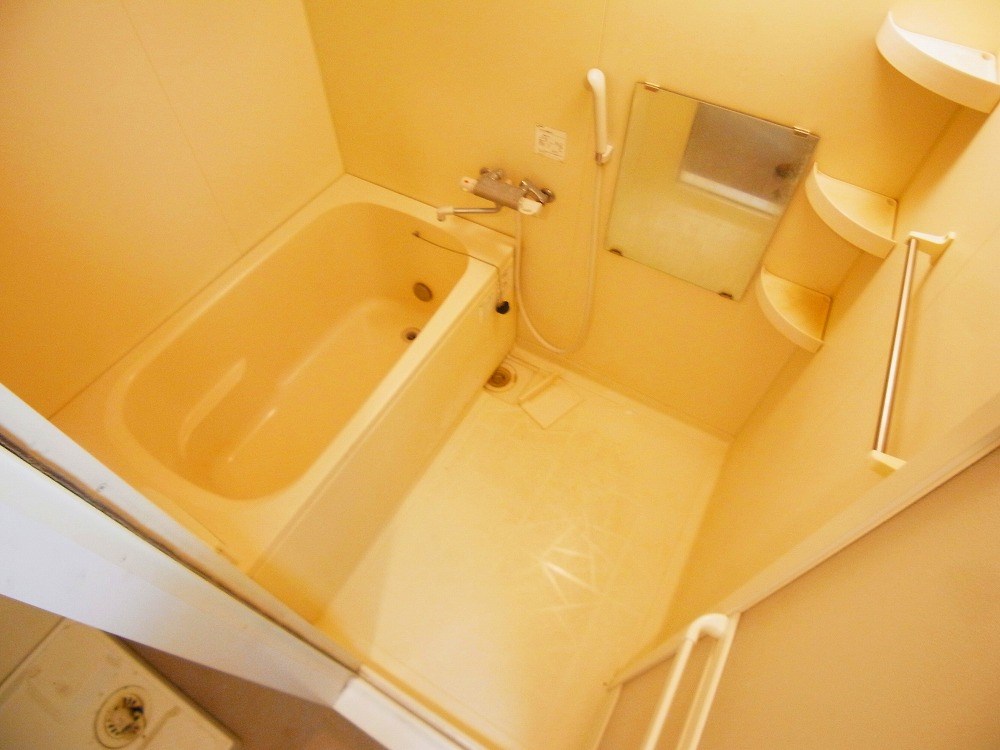 ウィステリアート その他11