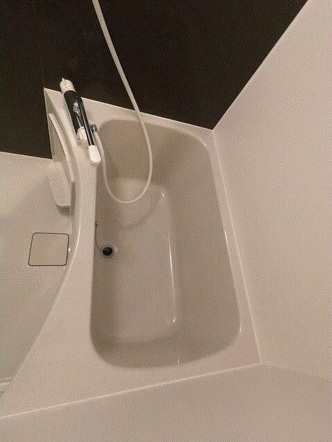 プレシャス西新井 風呂画像