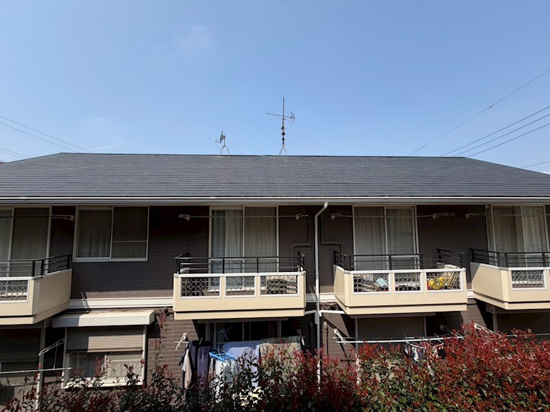 ラフィネ その他2