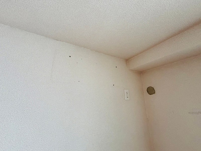 デイズガーデン その他14