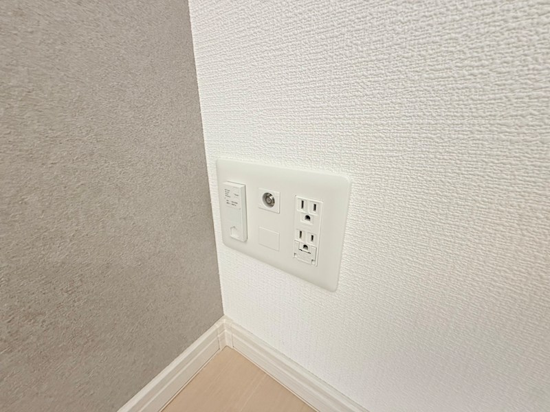 D porta viola その他