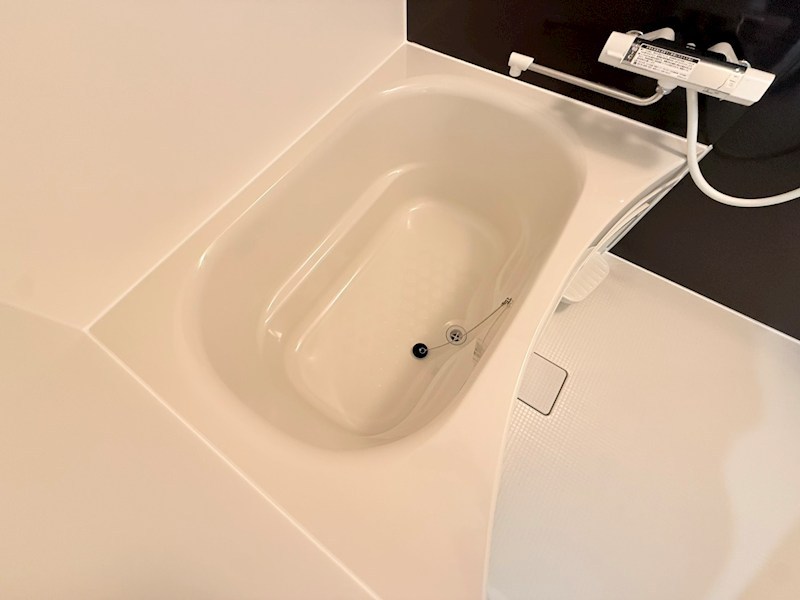 D porta viola その他