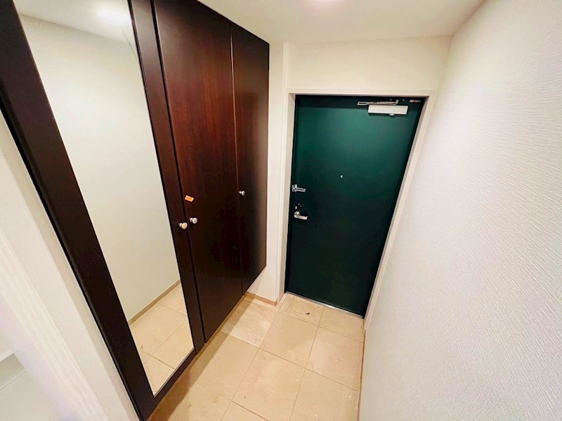 ロイヤルパークス新田 玄関