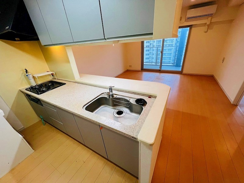 ロイヤルパークス新田 キッチン