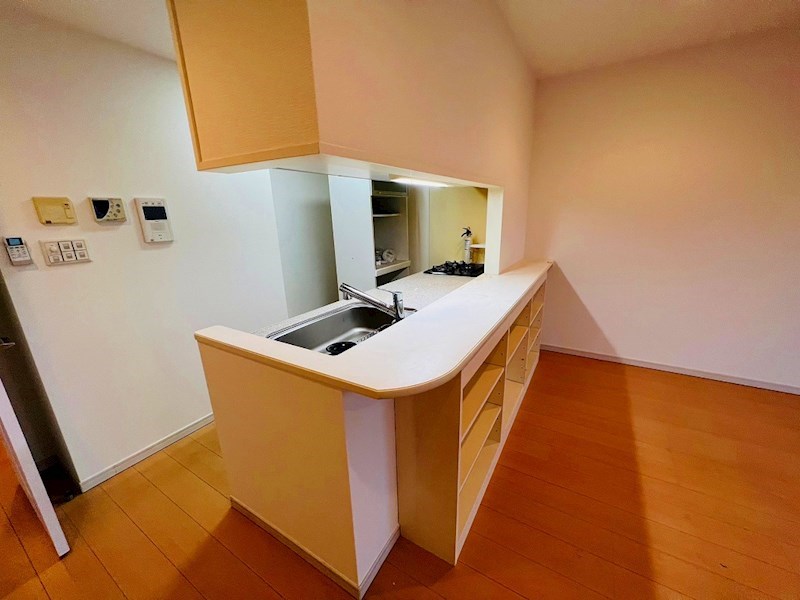 ロイヤルパークス新田 その他42