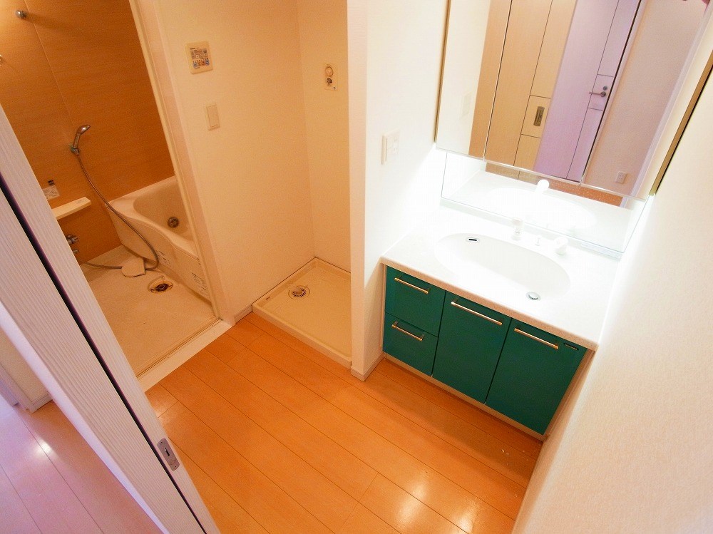 ロイヤルパークス新田 その他2