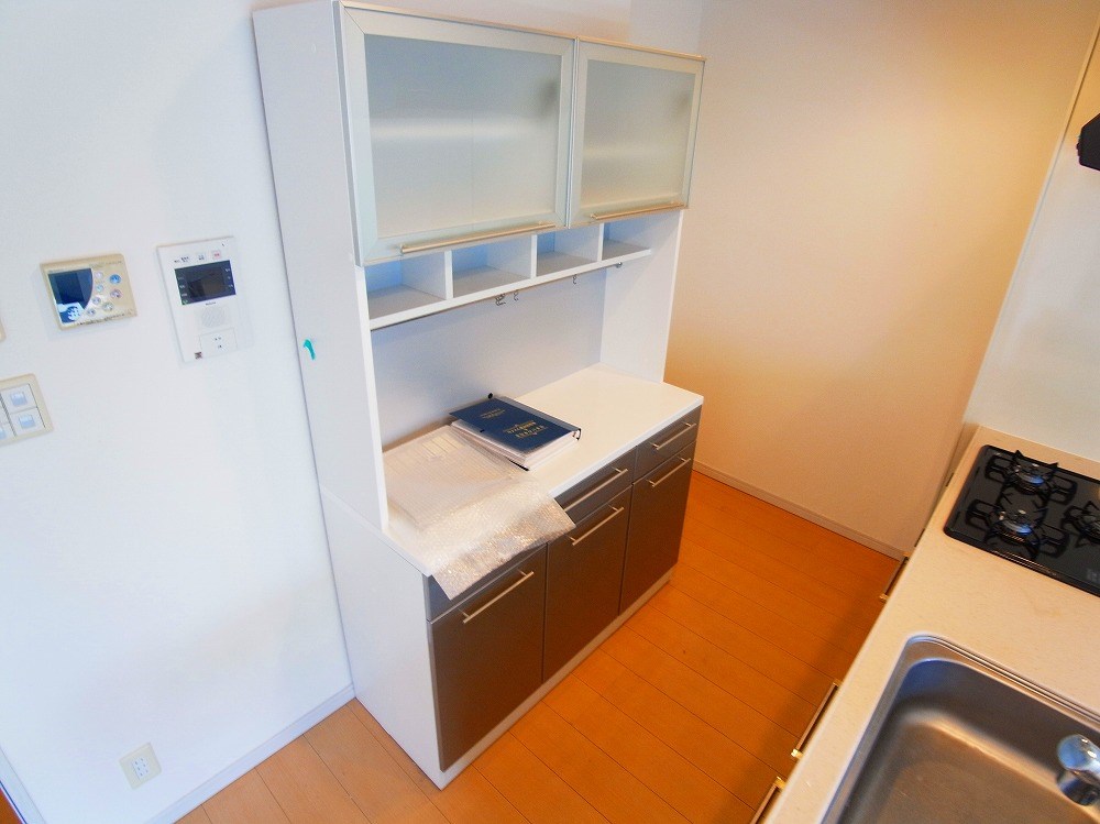 ロイヤルパークス新田 その他10