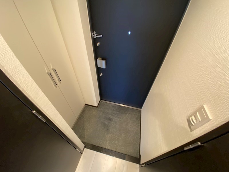 ミルーナヒルズ柏 玄関