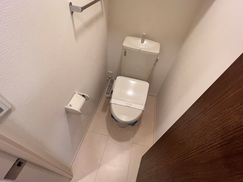 Primavera　Rosa その他1