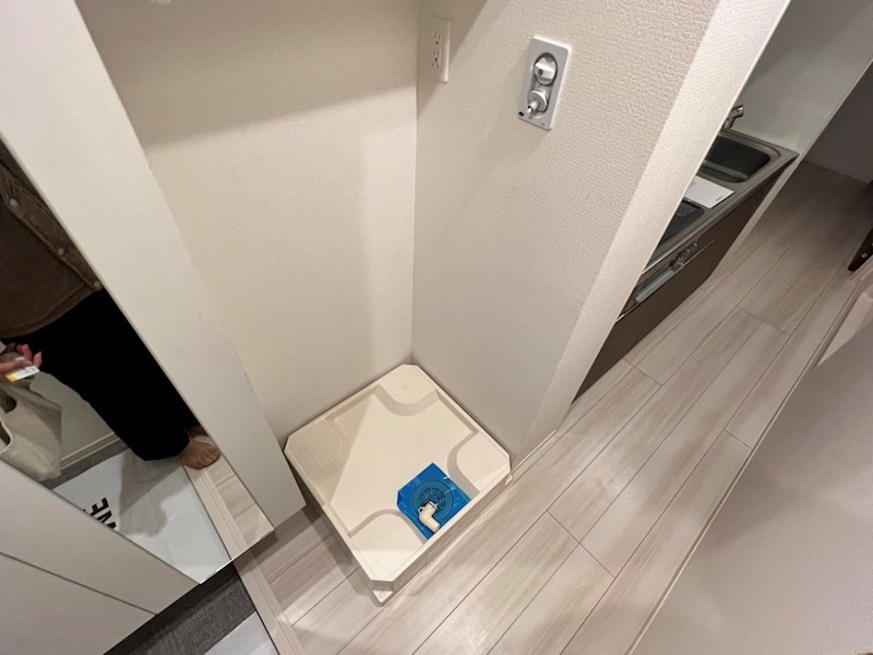 Primavera　Rosa その他13