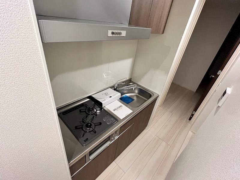 Primavera　Rosa その他15