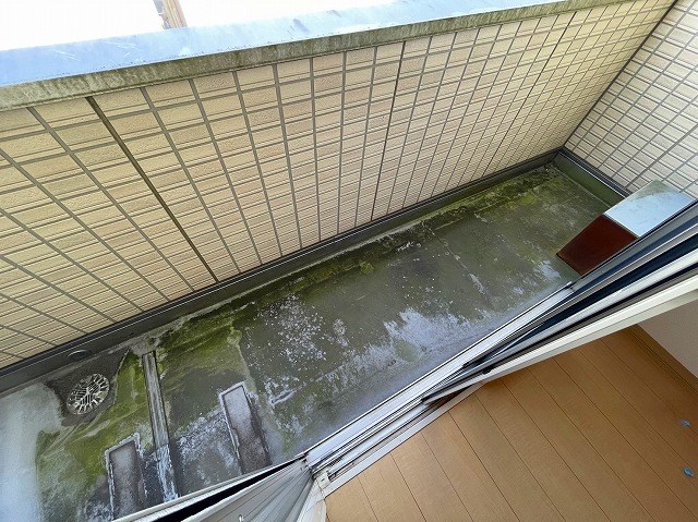 シャルマン  その他32