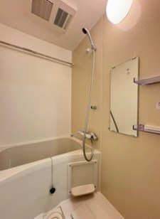 DIPS竹ノ塚駅前 風呂画像