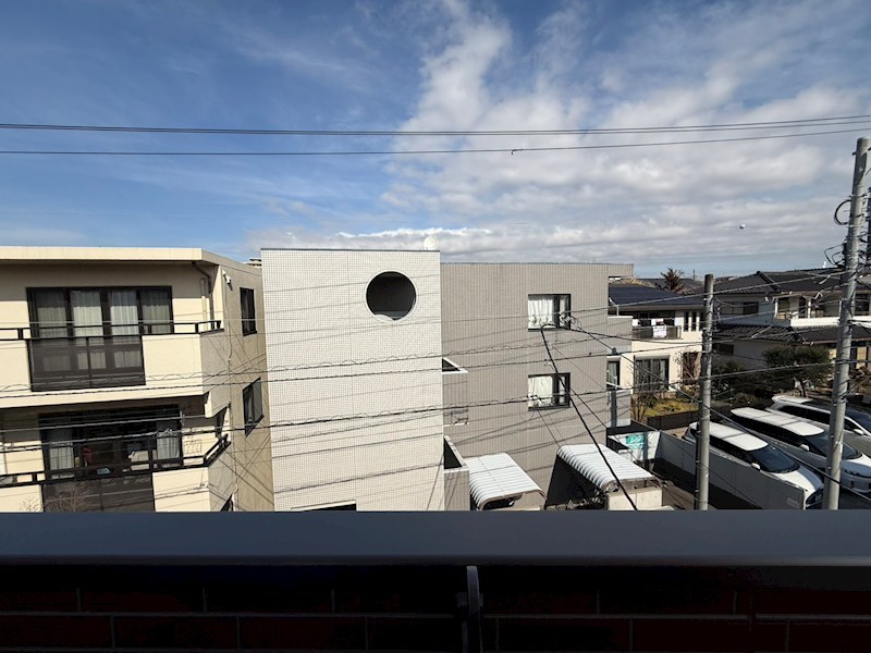 My Style vintage 柏あけぼの  その他5