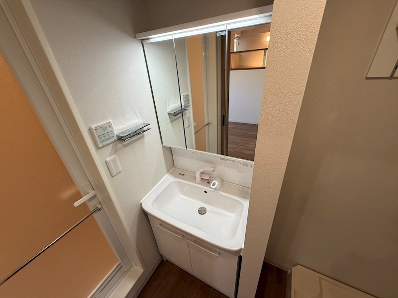 My Style vintage 柏あけぼの その他2