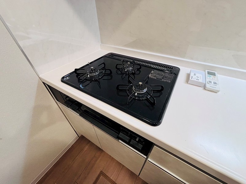 My Style vintage 柏あけぼの  その他8