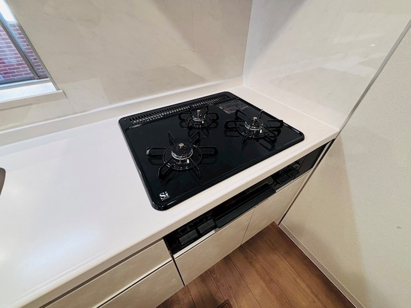 My Style vintage 柏あけぼの その他16