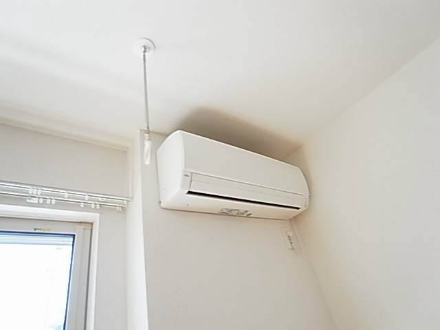 プルメリア その他5