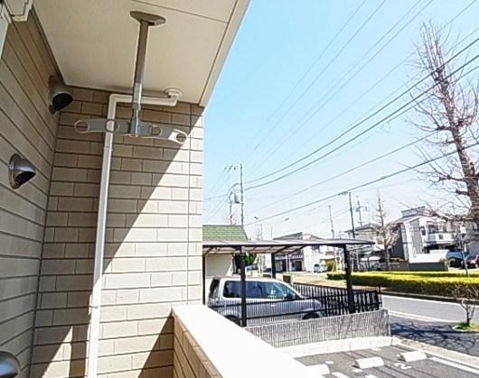 プルメリア その他6