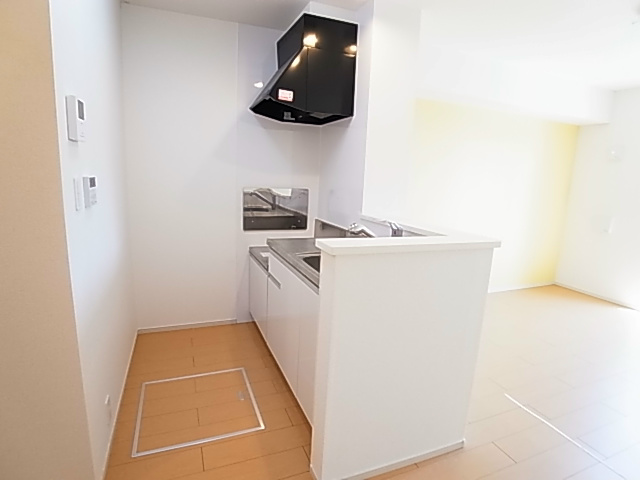 プルメリア その他7