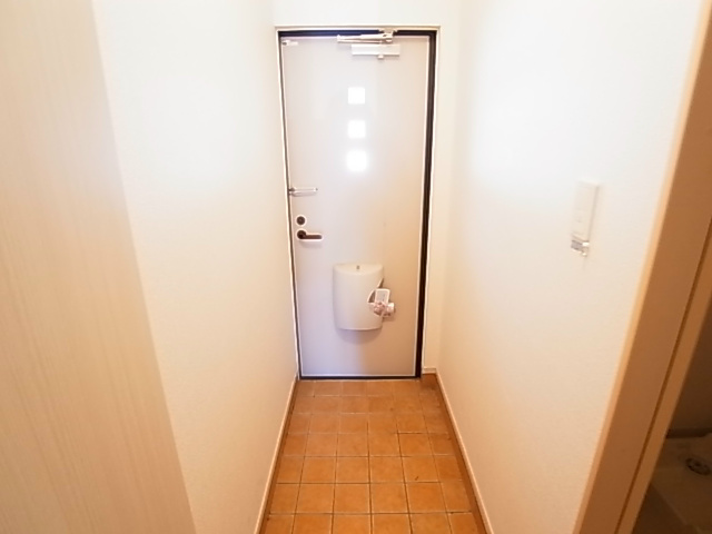 プルメリア その他10