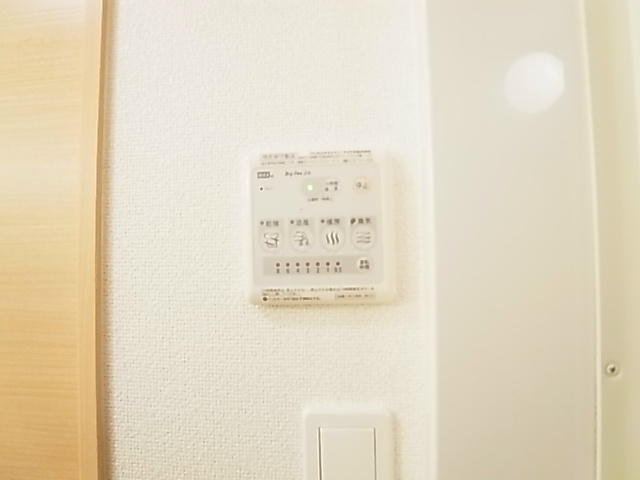 プルメリア その他11