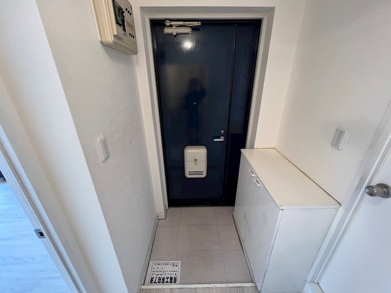 カーサ南流山 玄関