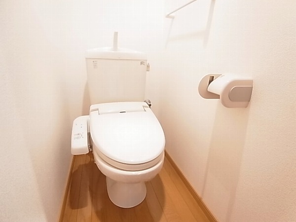 ルピナスⅡ その他1