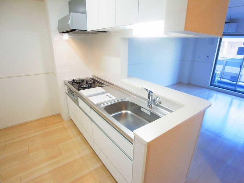 アルコ・イーリス その他16