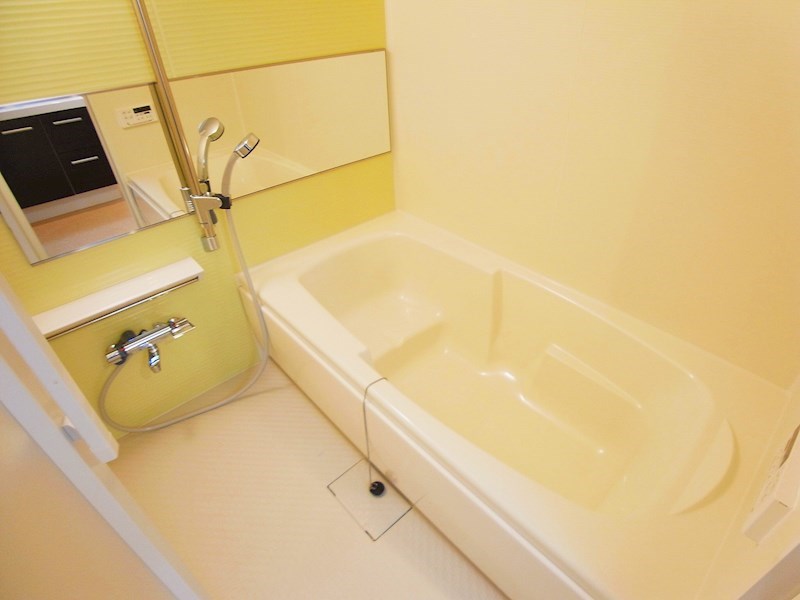 アルコ・イーリス 風呂画像