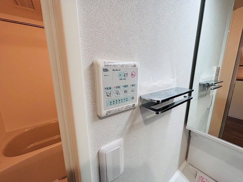 My Style vintage 柏あけぼの その他22