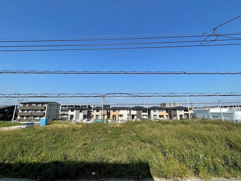 Ferro Risaia  その他5