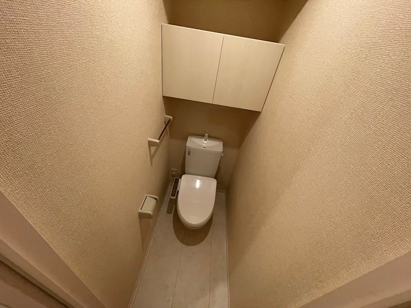 Ferro Risaia  その他1