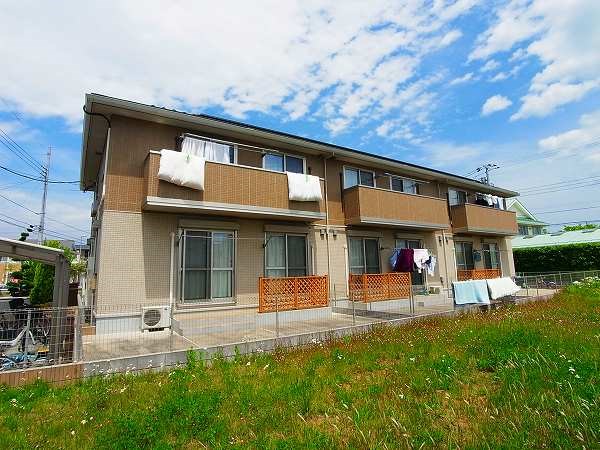 エレメント  外観