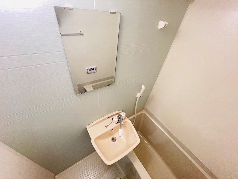 Lupinus見沼代 その他2