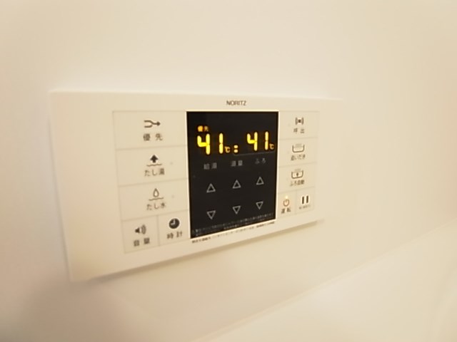 シトロンフレア３ その他11