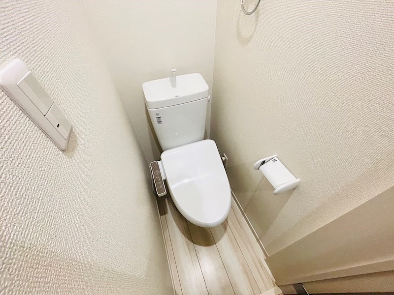 Lupinus見沼代 その他1