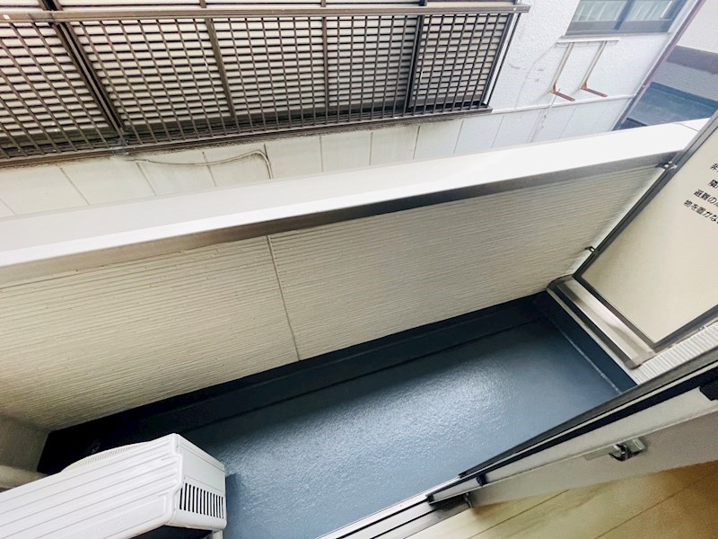 Lupinus見沼代 ベランダ