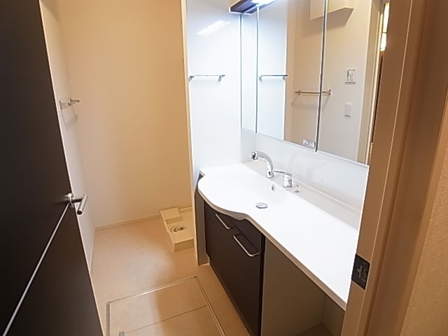 シトロンフレア３ その他2